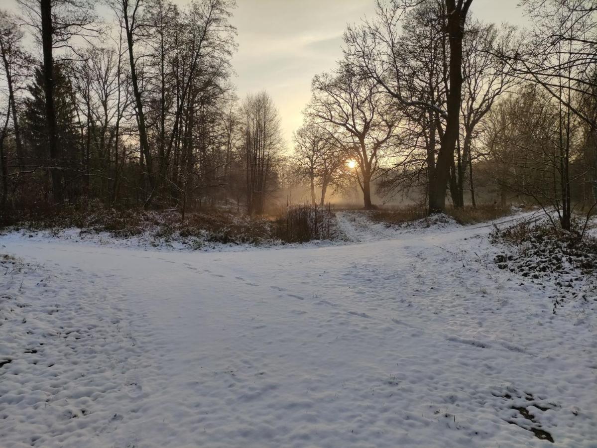 Ferienhaus Erna Doberlug-Kirchhain Esterno foto