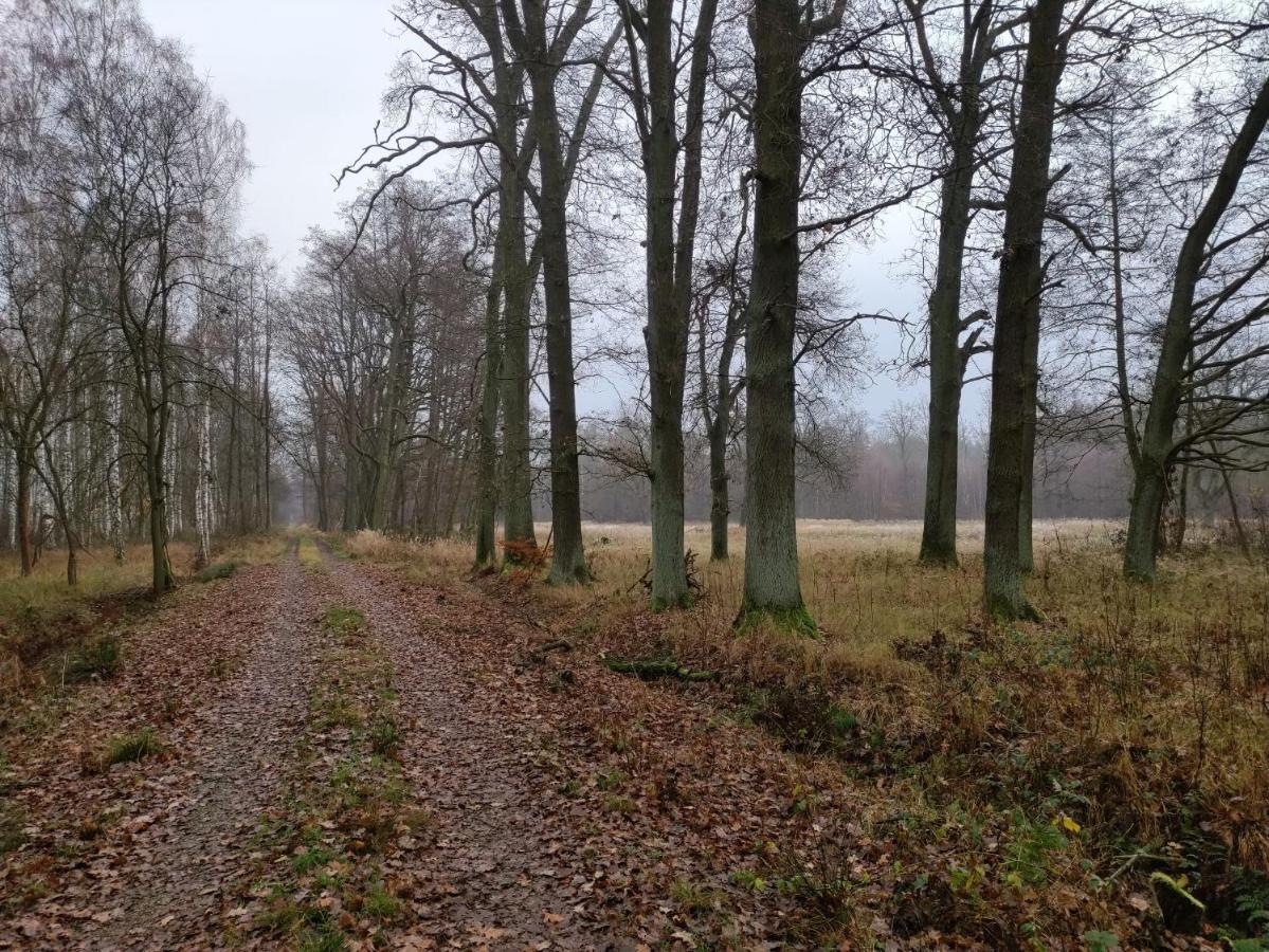 Ferienhaus Erna Doberlug-Kirchhain Esterno foto