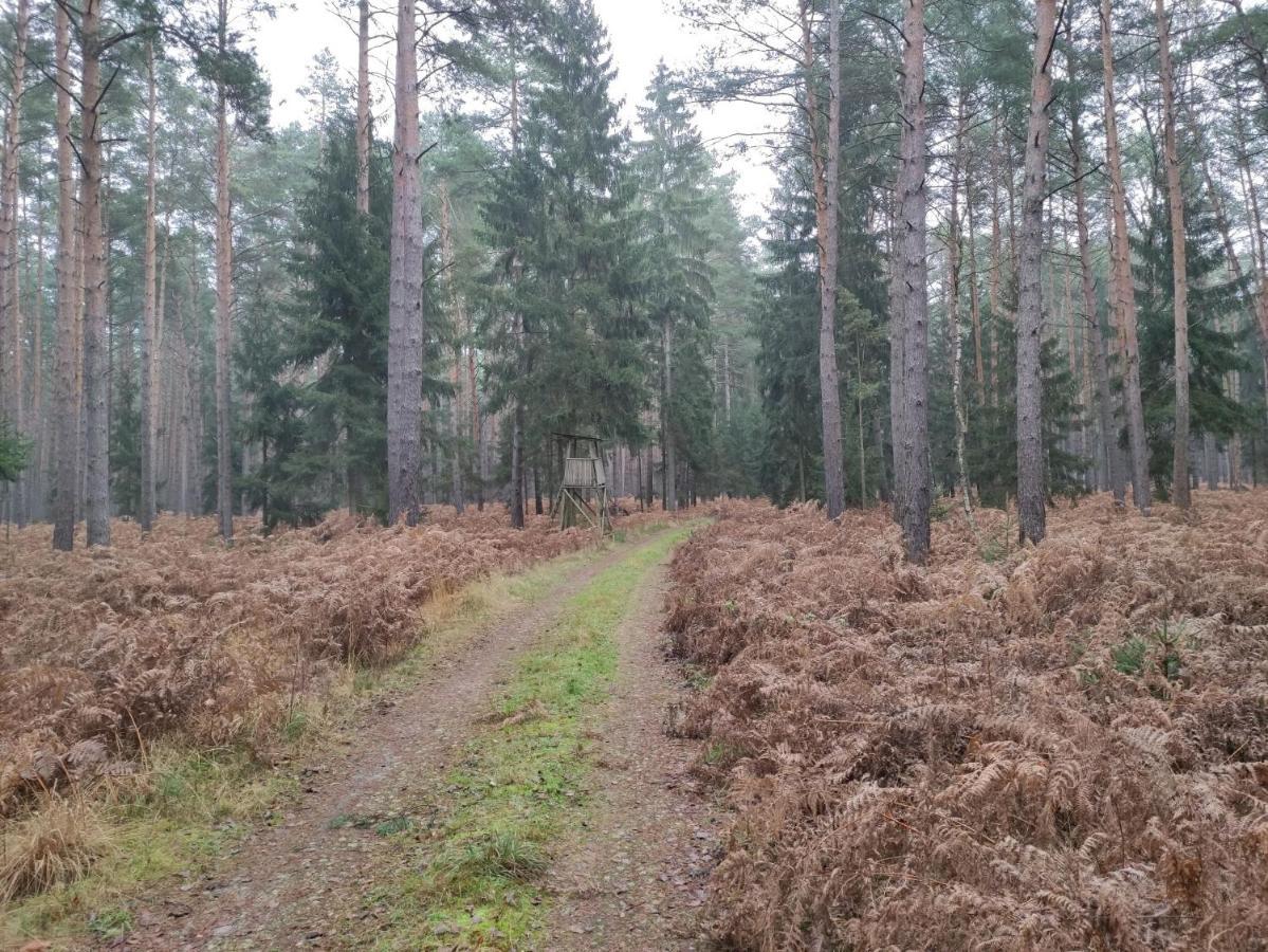 Ferienhaus Erna Doberlug-Kirchhain Esterno foto