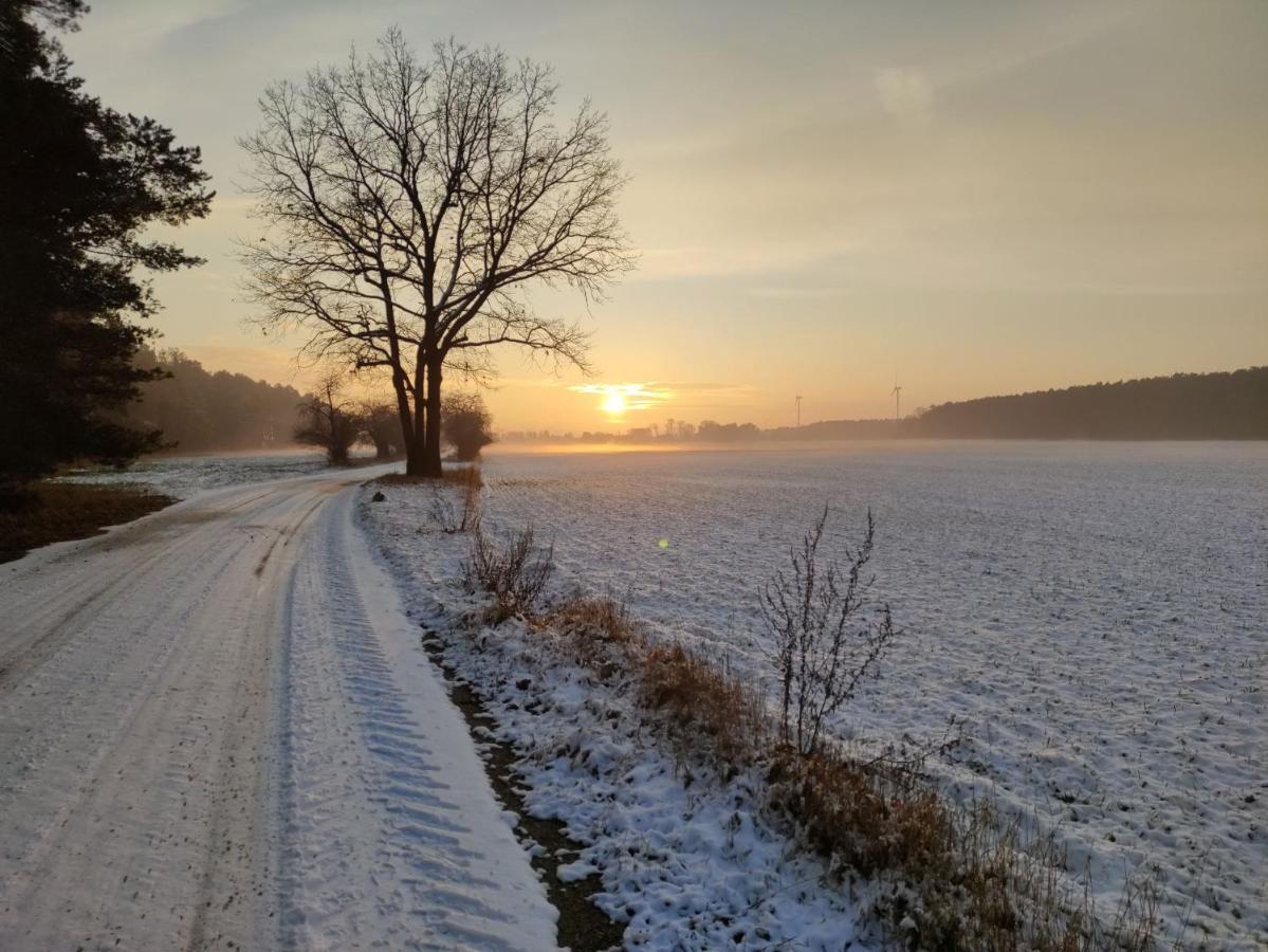 Ferienhaus Erna Doberlug-Kirchhain Esterno foto