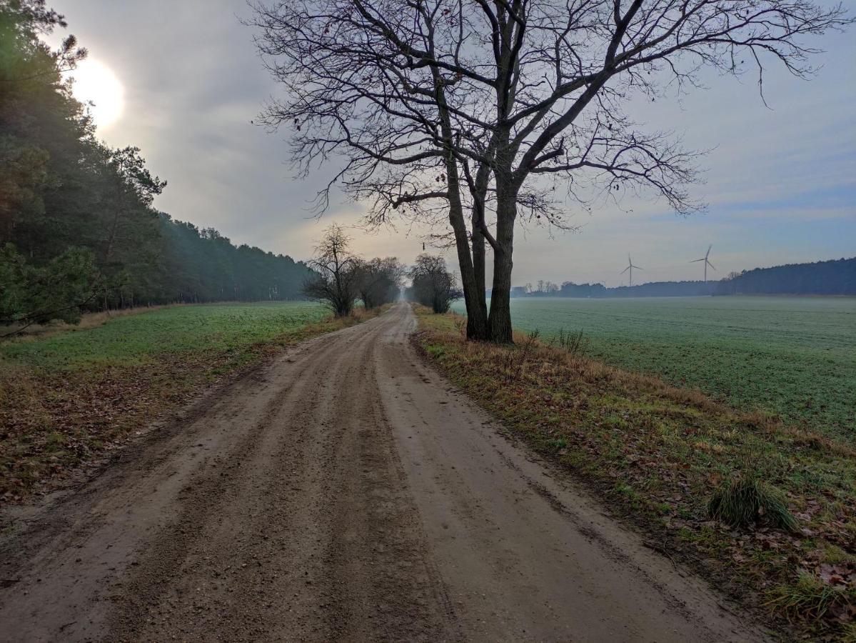 Ferienhaus Erna Doberlug-Kirchhain Esterno foto