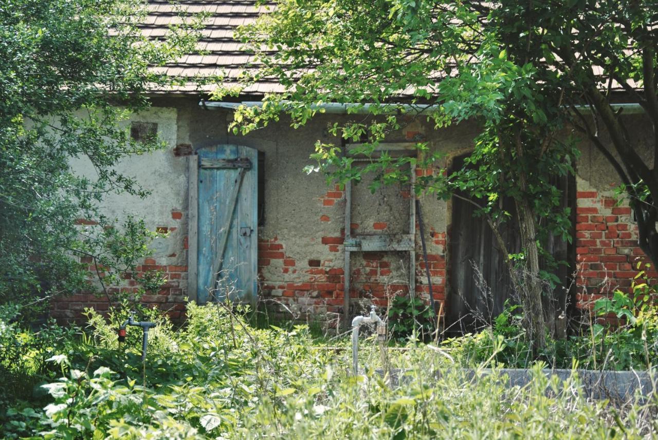 Ferienhaus Erna Villa Doberlug-Kirchhain Esterno foto