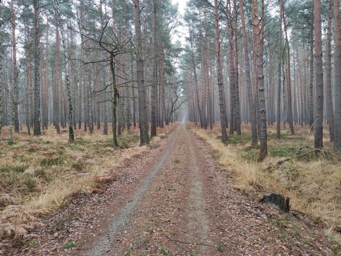 Ferienhaus Erna Doberlug-Kirchhain Esterno foto